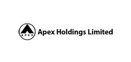 APEX HOLDINGS LIMITED